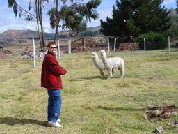 peru1_073.jpg