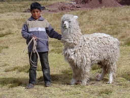 peru1_119.jpg