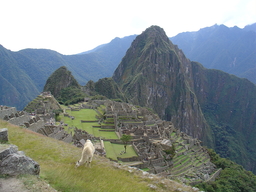 peru2_019.jpg