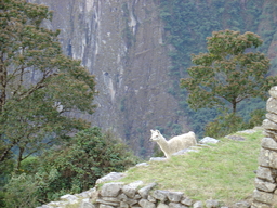 peru2_125.jpg