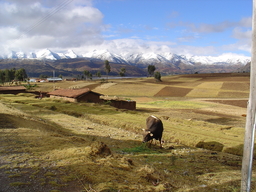 peru2_215.jpg