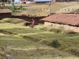 peru2_216.jpg