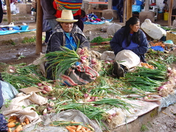 peru2_229.jpg