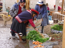 peru2_231.jpg