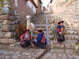 peru2_259.jpg