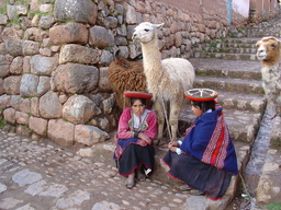 peru2_261.jpg