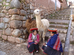 peru2_262.jpg